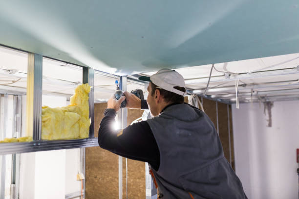 Best Blown-in Insulation  in Karnes City, TX