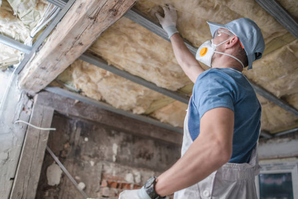 Best Insulation Contractors for Homes  in Karnes City, TX