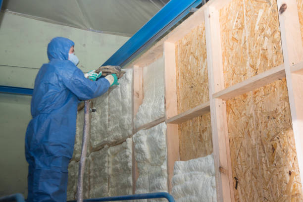 Best Insulation Repair Services  in Karnes City, TX